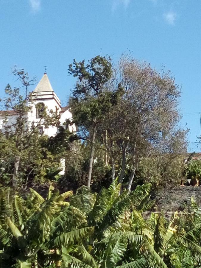 Vila The House Funchal  Exteriér fotografie